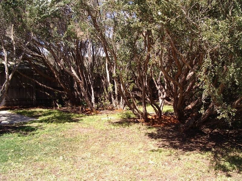 St Andrews Beach VIC 3941