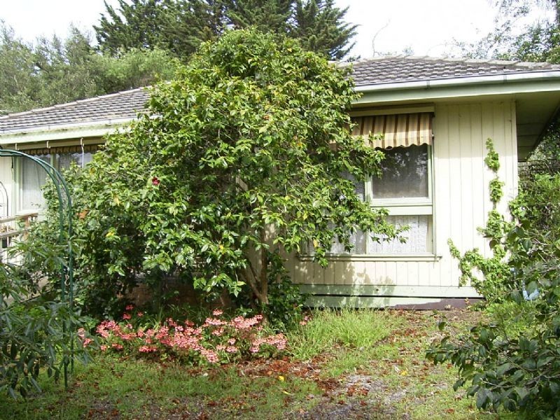 110 Ocean Street, Rosebud VIC 3939