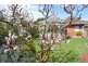 14 Sundew Avenue, Rosebud West VIC 3940