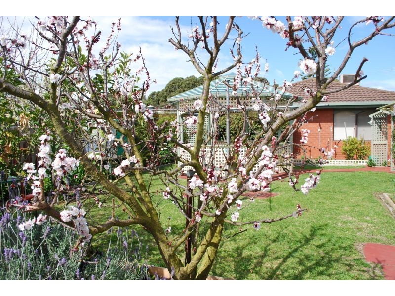 14 Sundew Avenue, Rosebud West VIC 3940