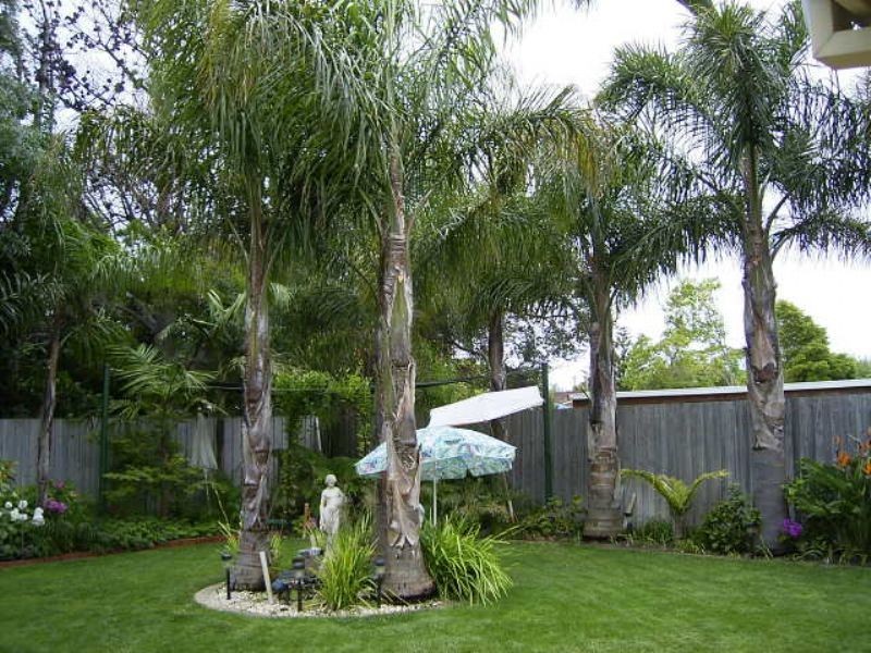 22 Whyte Street, Rosebud West VIC 3940