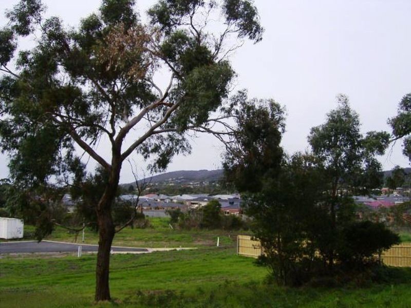 25 Sherwood Avenue, Rosebud VIC 3939