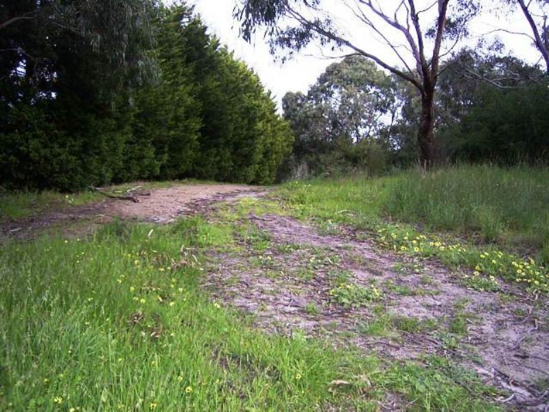 25 Sherwood Avenue, Rosebud VIC 3939