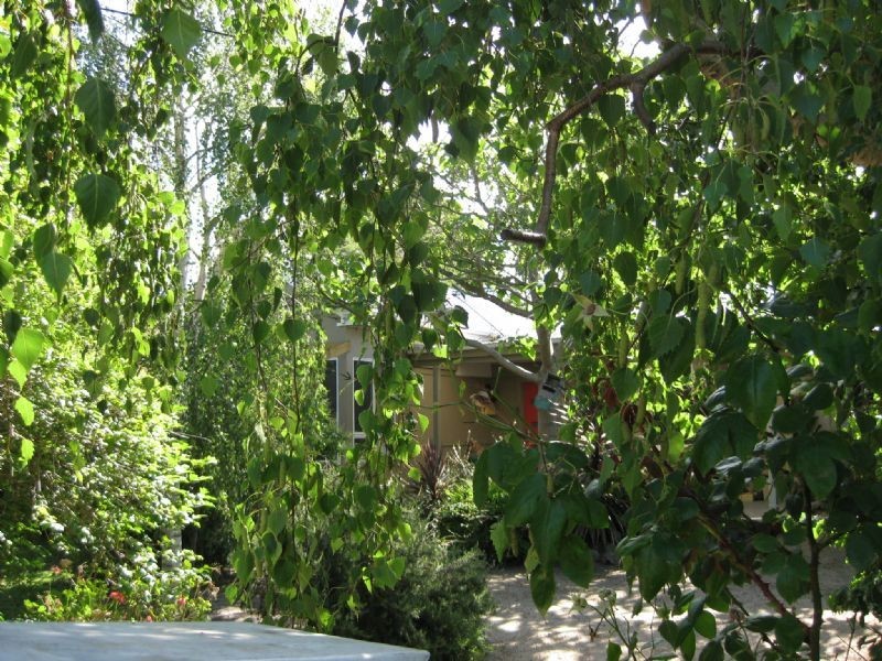 46 Foam Street, Rosebud VIC 3939