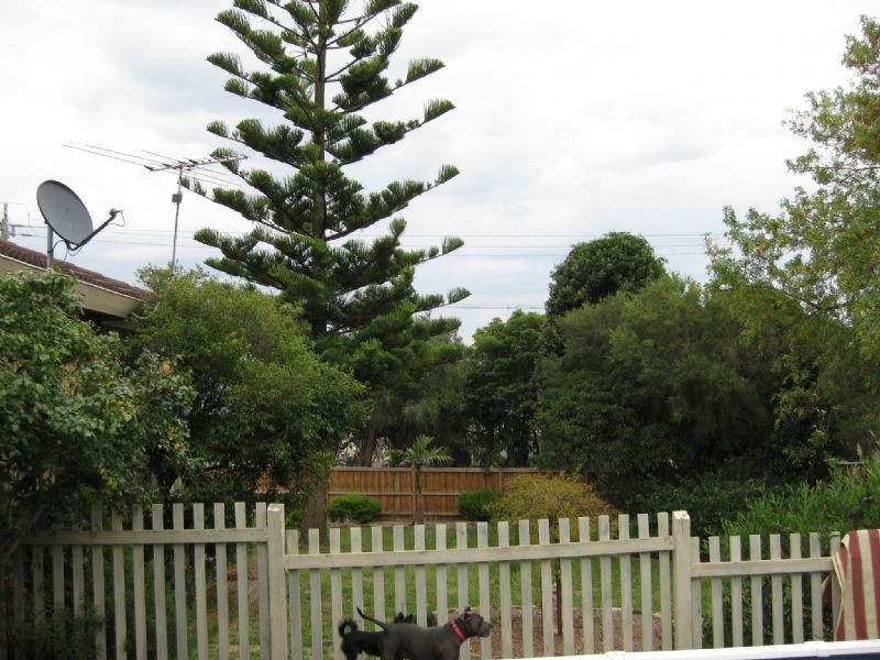 47 Hove Road, Rosebud VIC 3939