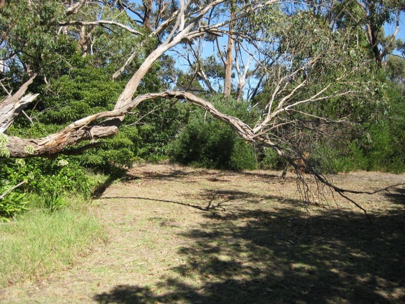 2-6 Banks Street, Mccrae VIC 3938