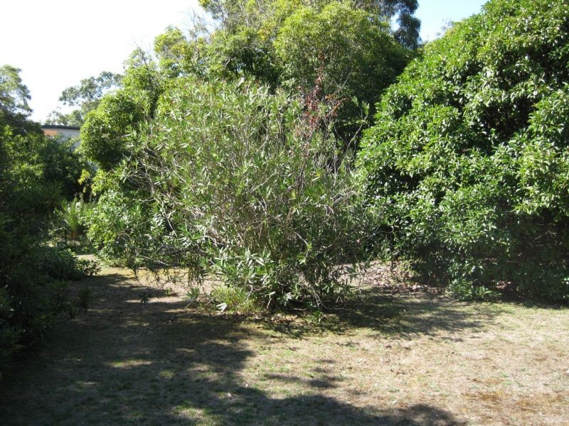 2-6 Banks Street, Mccrae VIC 3938