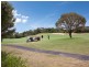 64 Casuarina Drive, Cape Schanck VIC 3939