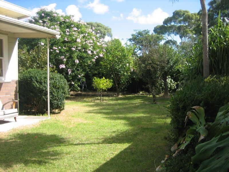 16 Martin Street, Rosebud VIC 3939