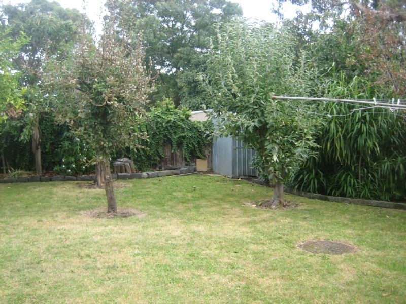 16 Martin Street, Rosebud VIC 3939