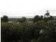 37 Cairn Road, Mccrae VIC 3938
