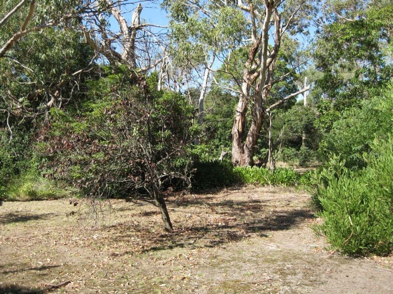 2 Banks Street, Mccrae VIC 3938