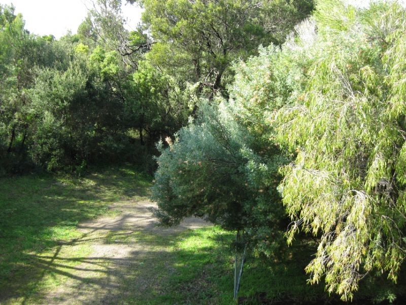 54 Cape Schanck Rd, Cape Schanck VIC 3939