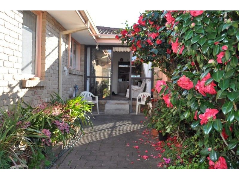 17 Branson Street, Rosebud VIC 3939