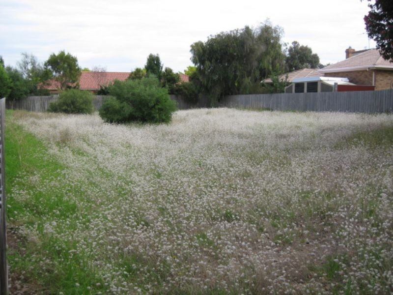 51 Curlew Drive, Rosebud West VIC 3940