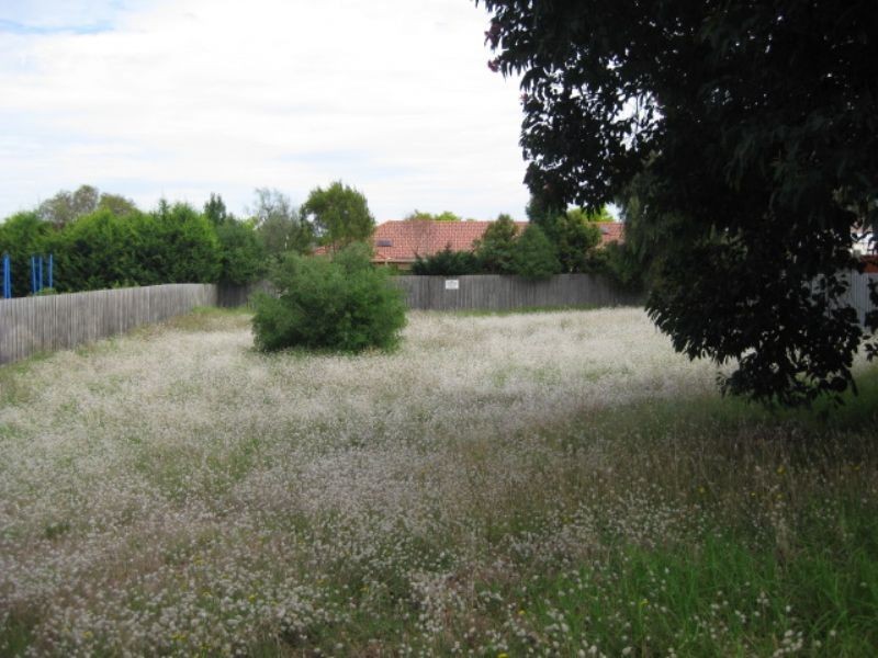 51 Curlew Drive, Rosebud West VIC 3940