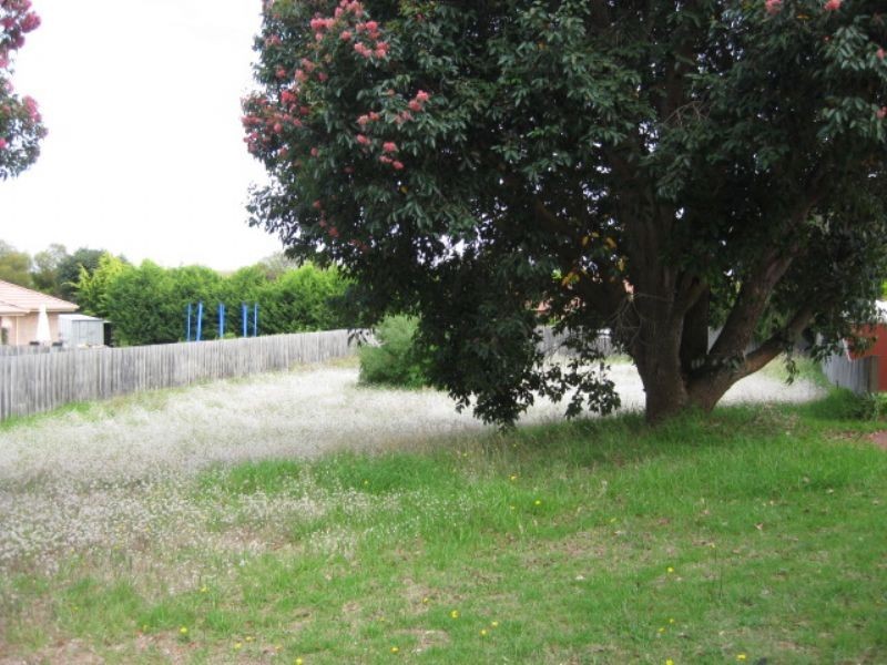 51 Curlew Drive, Rosebud West VIC 3940