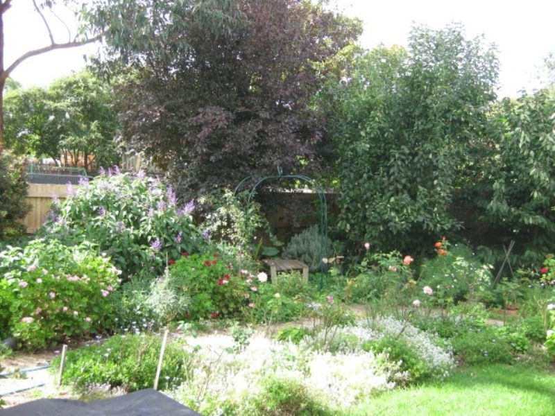 3 Elwers Road, Rosebud VIC 3939