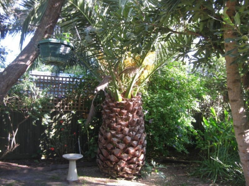 76 Potton Ave, Rosebud VIC 3939