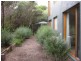 Cape Schanck VIC 3939