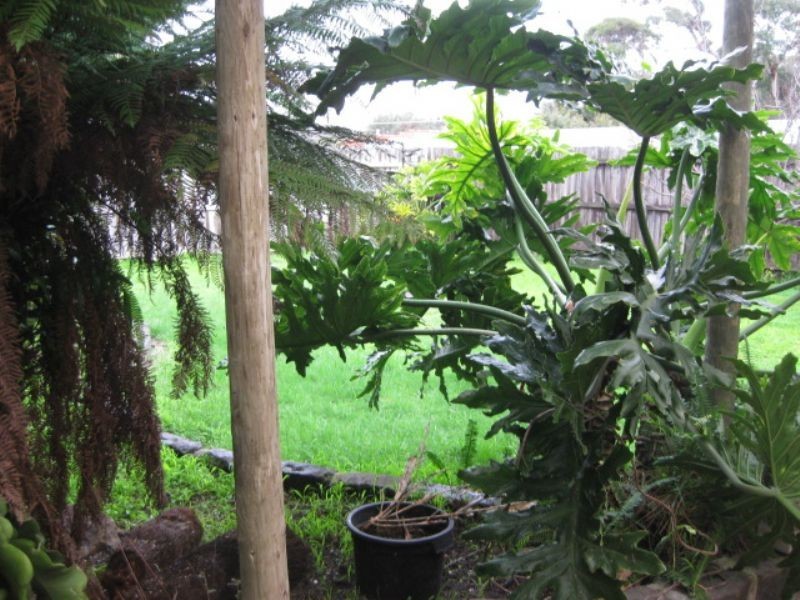 61 Fifth Avenue, Rosebud VIC 3939