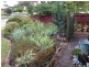 11 Cain Street, Rosebud West VIC 3940