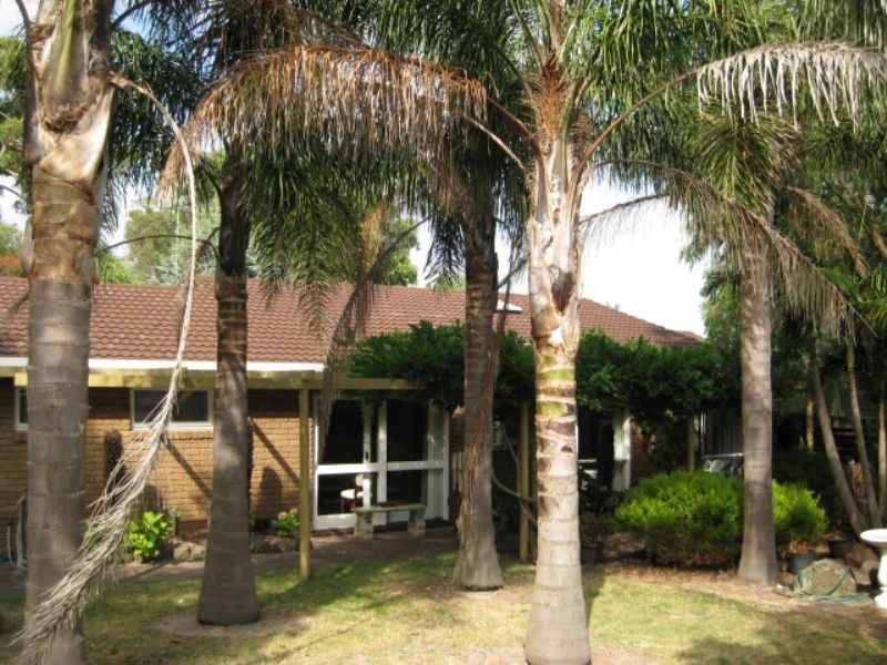 6 Salvia Court, Rosebud VIC 3939