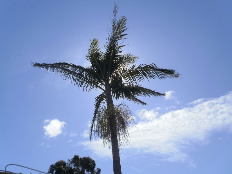 89 Seventh Avenue, Rosebud VIC 3939