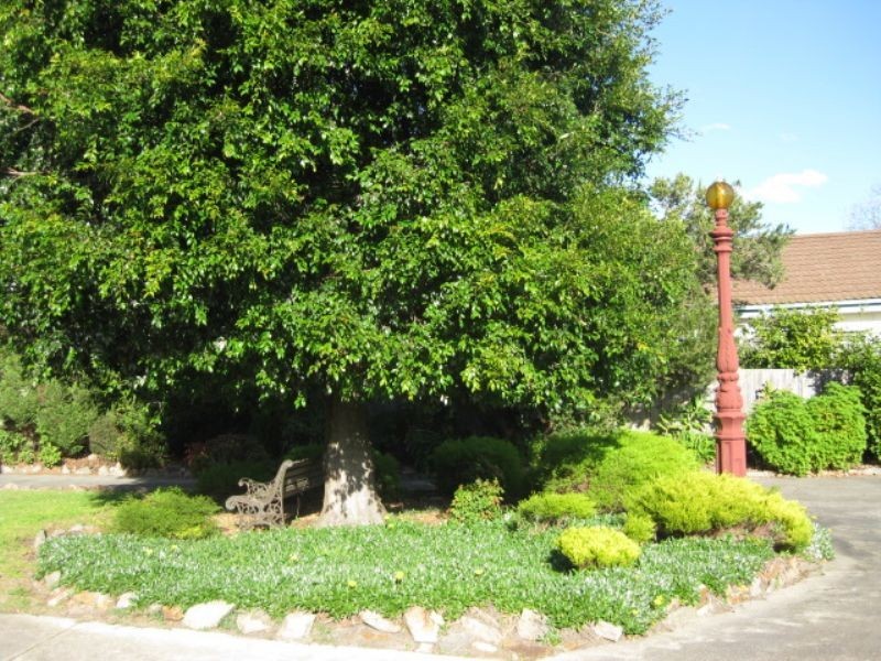 3/15-17 Wilson Street, Rosebud VIC 3939