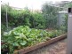13 The Galley, Rosebud West VIC 3940