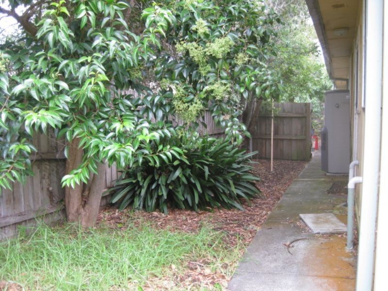 3/47 Morris Street, Tootgarook VIC 3941