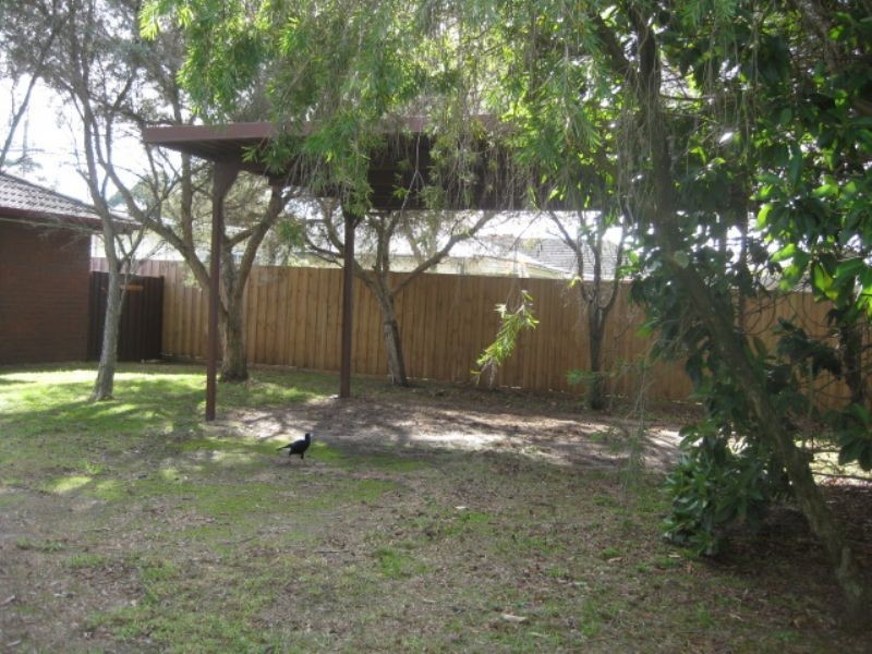 29 Adams Avenue, Rosebud VIC 3939