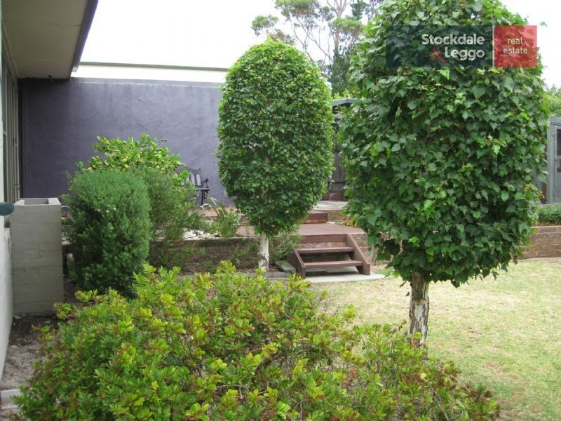 20 First Avenue, Rosebud VIC 3939