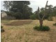 14 Pratt Street, Tootgarook VIC 3941