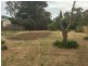 14 Pratt Street, Tootgarook VIC 3941
