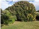 8 Walpole Avenue, Rosebud VIC 3939