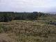 Lot 9 Pineridge Road, Moe VIC 3825