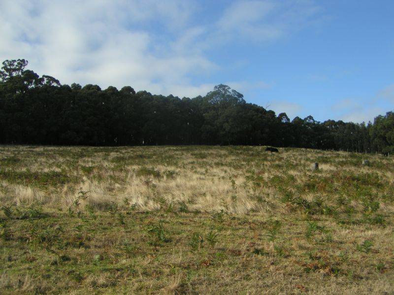 Lot 9 Pineridge Road, Moe VIC 3825