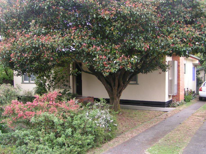 34 John Street, Moe VIC 3825