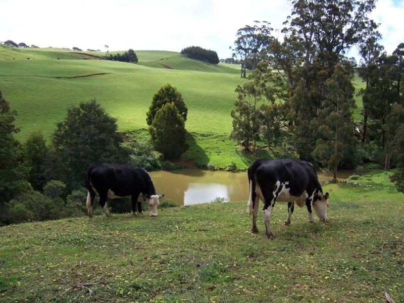 254 Trafalgar South Road, Trafalgar South VIC 3824