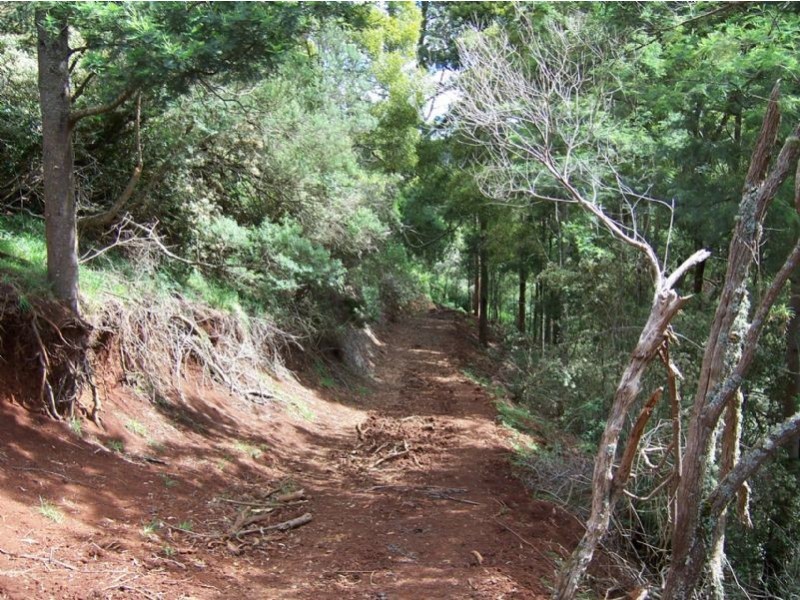 254 Trafalgar South Road, Trafalgar South VIC 3824