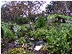 2383 Willow Grove Road, Hill End VIC 3825