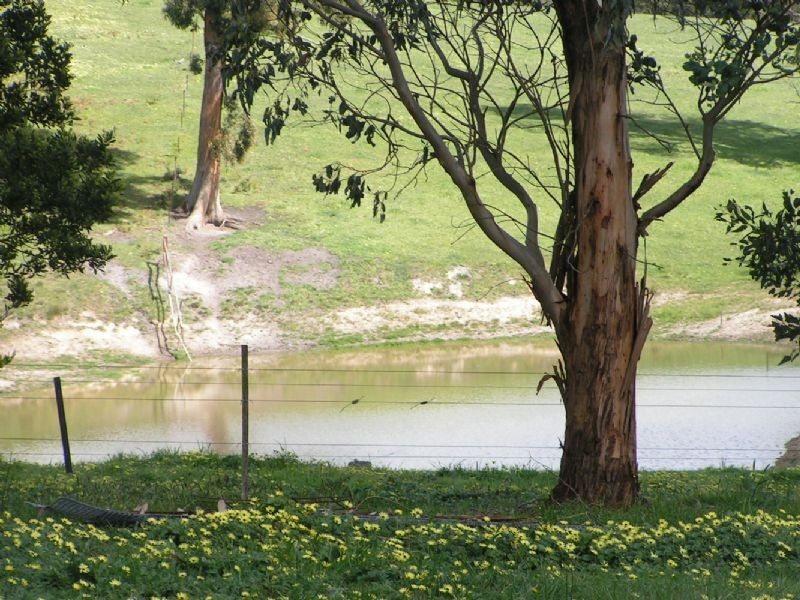 235 Purvis Road, Tanjil South VIC 3825