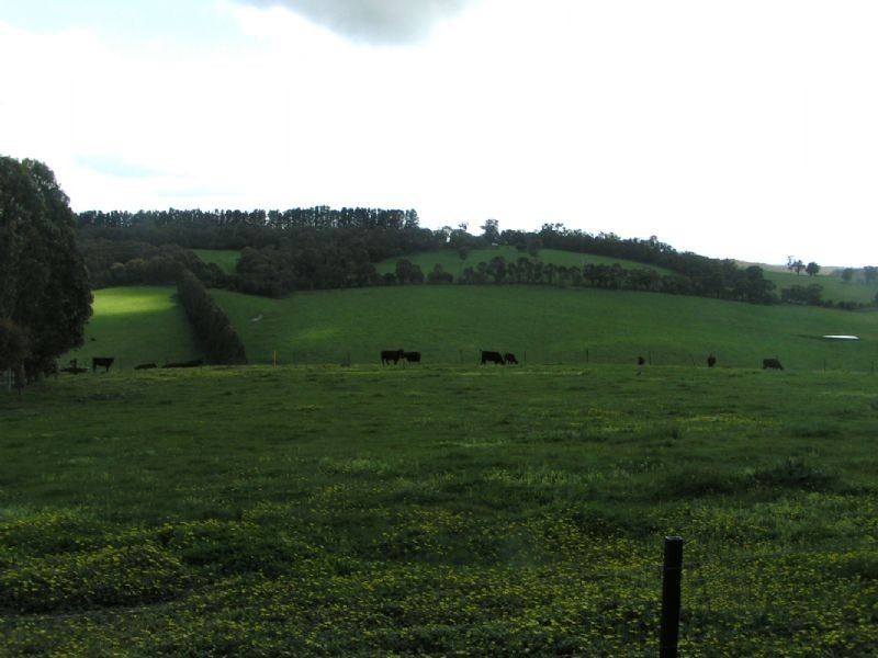 235 Purvis Road, Tanjil South VIC 3825