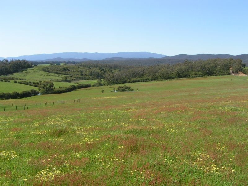 0 Moe/Willow Grove Road, Willow Grove VIC 3825