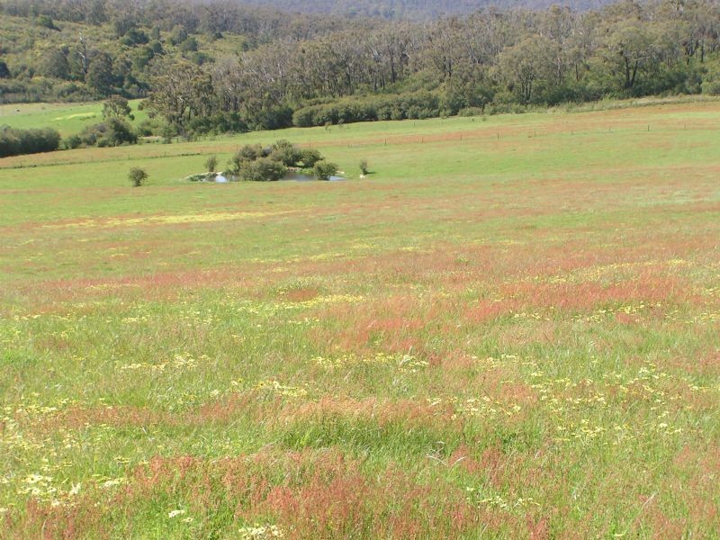 0 Moe/Willow Grove Road, Willow Grove VIC 3825