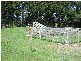 0 Corner of Allmans & Grandridge Road via, Trida VIC 3953