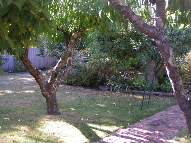 42 Chamberlain Road, Newborough VIC 3825