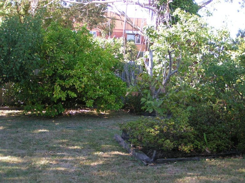 42 Chamberlain Road, Newborough VIC 3825
