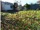 65 Hampton Street, Moe VIC 3825